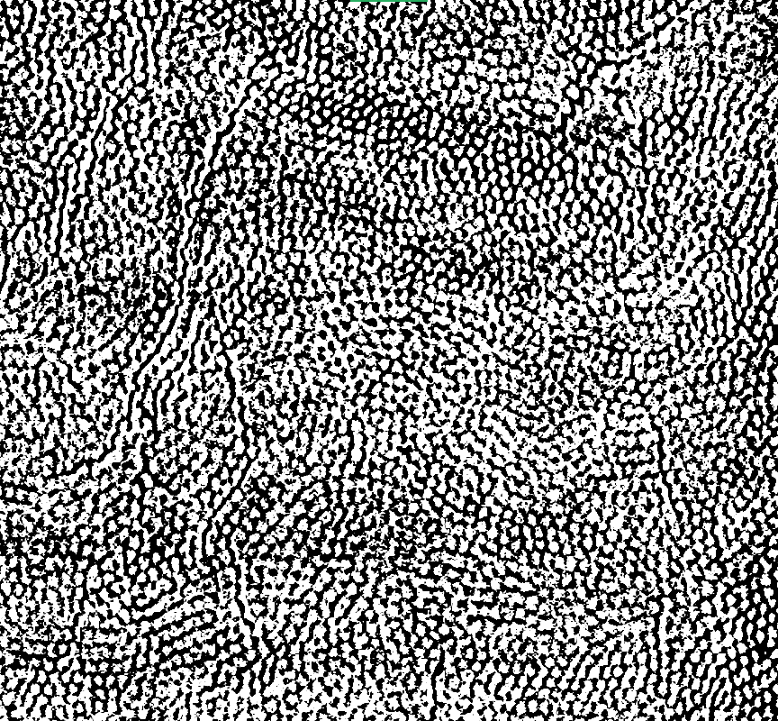 Animated 101-slice μCT volume through the enamel block