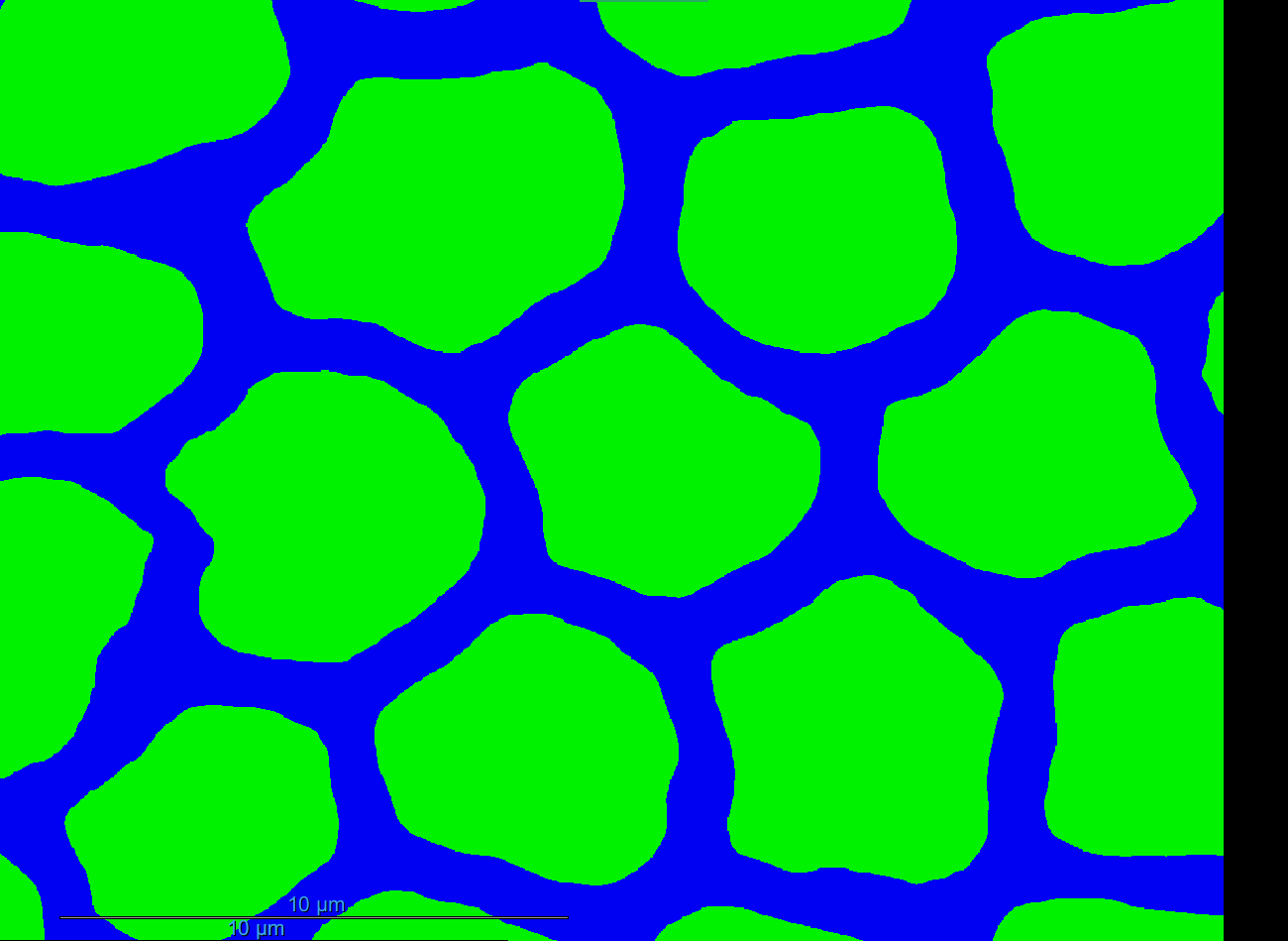 Per-rod measurement overlay on segmented slice