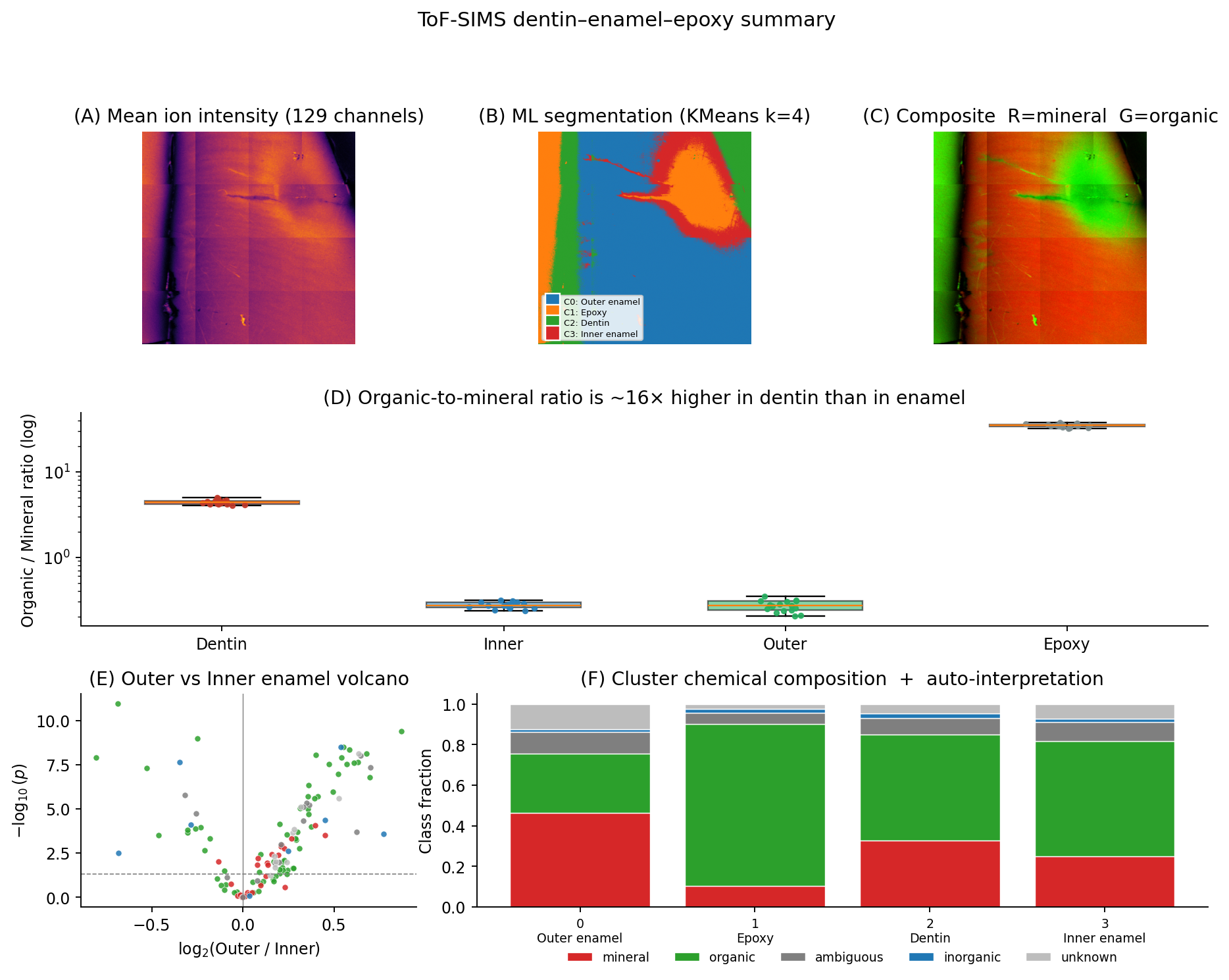 ToF-SIMS Chemical Mapping of Tooth